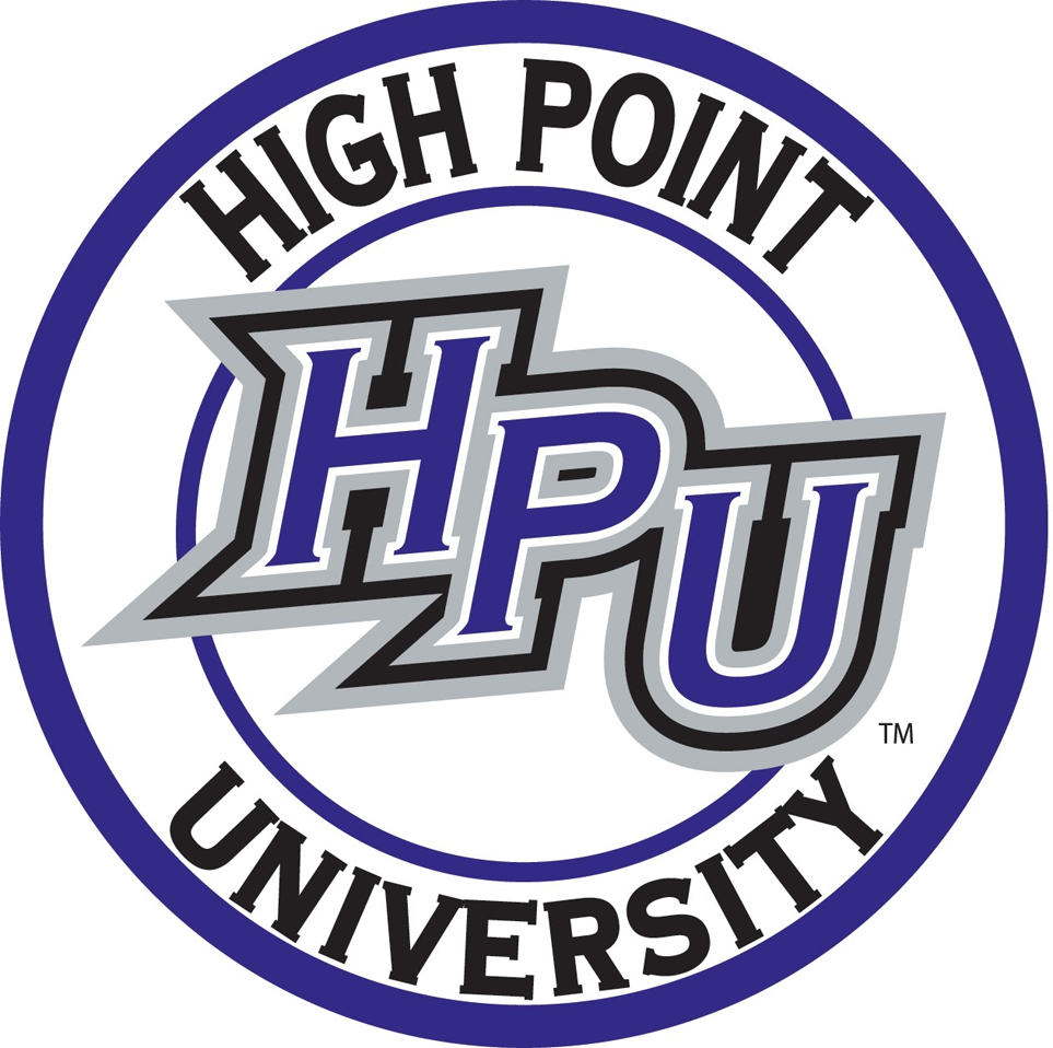 High Point Panthers 2004-Pres Alternate Logo v4 iron on transfers for clothing
